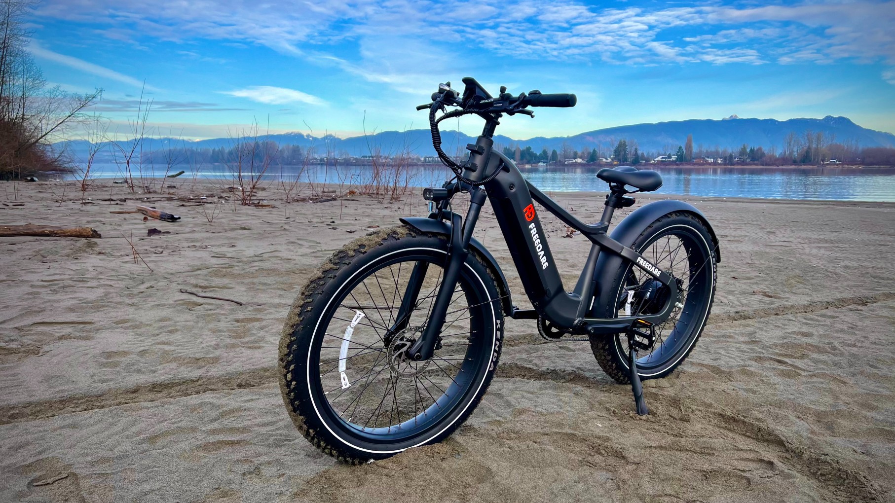 Freedare - Electric bikes
