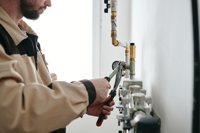 Zebra Plumbing