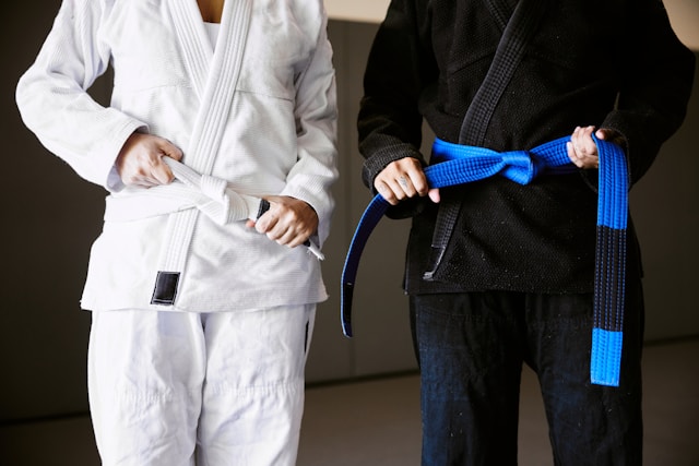 Lógica Jiu-Jitsu