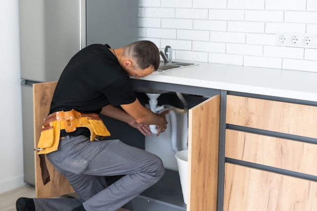 Mister Plumber